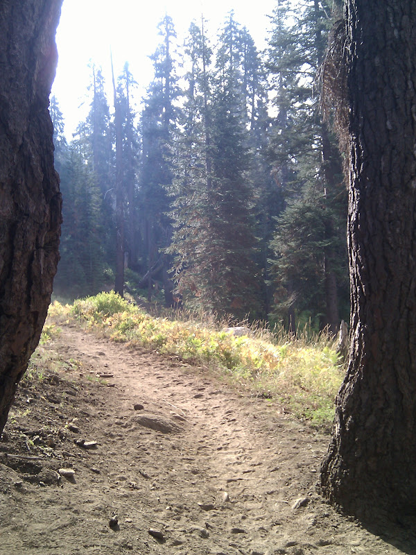 IMG_20100922_093353.jpg Photo