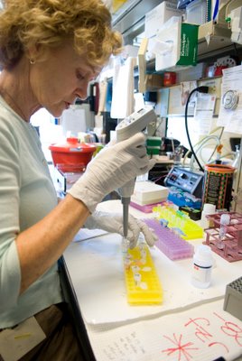 researcher