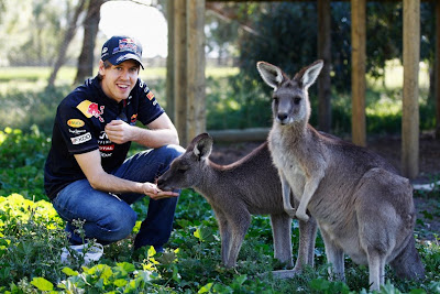 Себастьян Феттель кормит кенгуру на Гран-при Австралии 2011