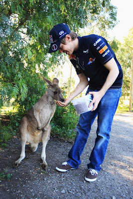 Себастьян Феттель кормит кенгуру на австралийской ферме