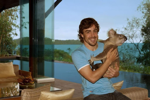 alonso_golf_koala_on_hamilton_island.jpg