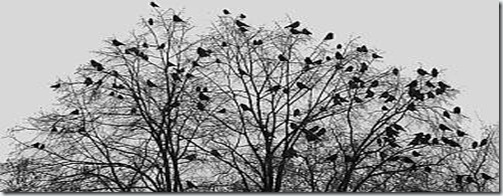 BLOG tree with birds BLOG tree with birds