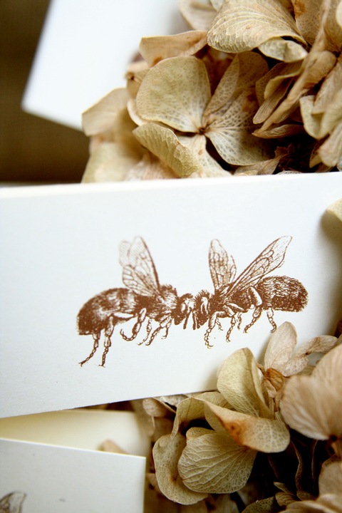 [Bee gift enclosure 72[3].jpg]