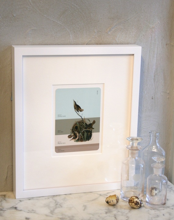 [Bird's Nest paint chip print 72[3].jpg]