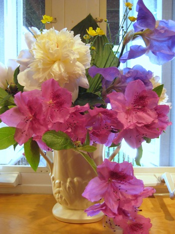 From the garden