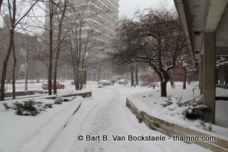 Sneeuw in Toronto