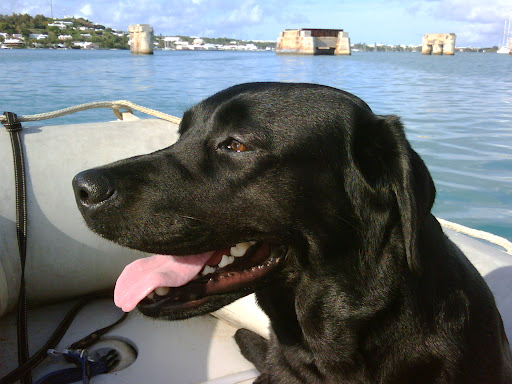 IMG00313-20090531-1756.jpg