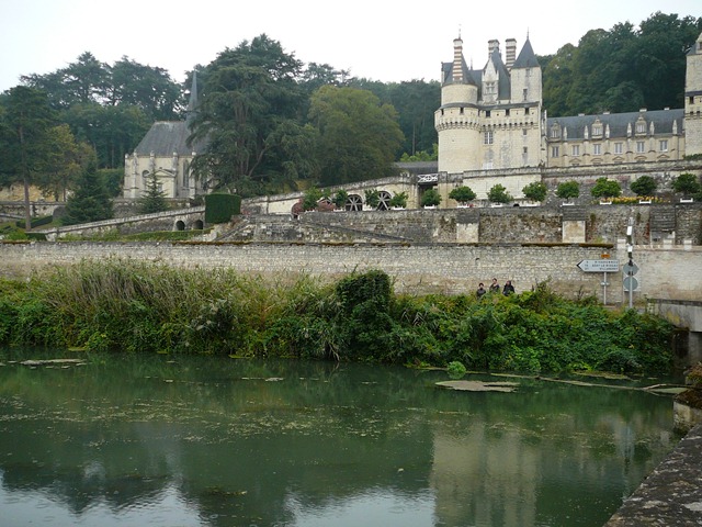 [P1110480[3].jpg]