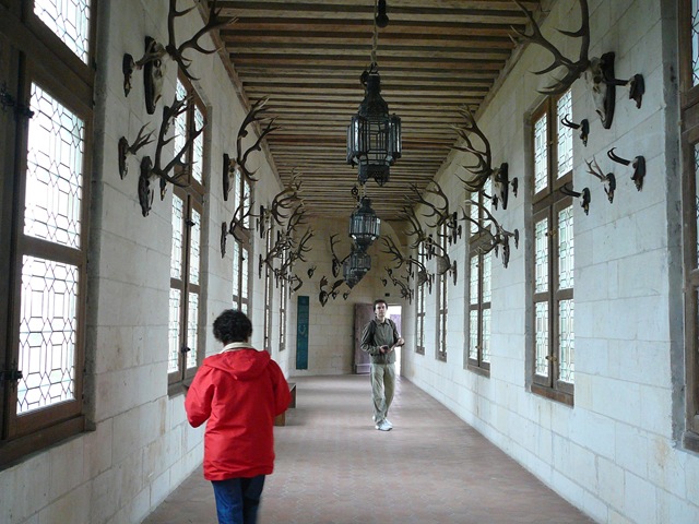 [P1110797[4].jpg]