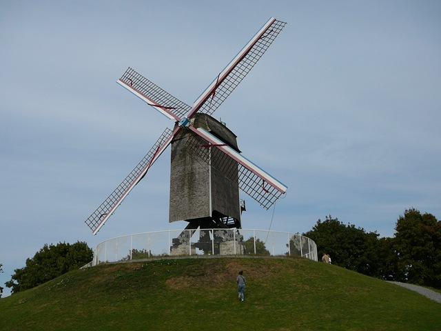 [P1090559[4].jpg]