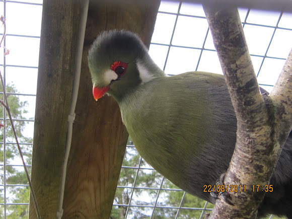 Spotting Image 1