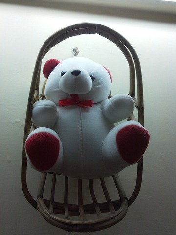 [2010-02-05 11.48.57[2].jpg]