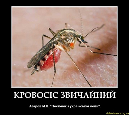 demotivators.org.ua-162546-3