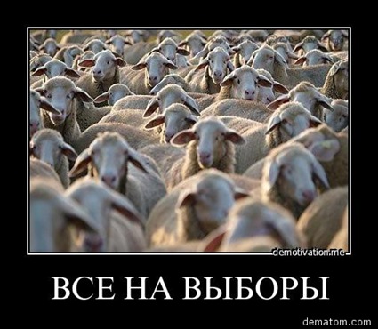 2011-vse_na_vybory