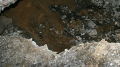 proval_grunta