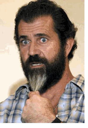 [mel_gibson_f2zrr8v2hfq5jp9hdb[2].gif]