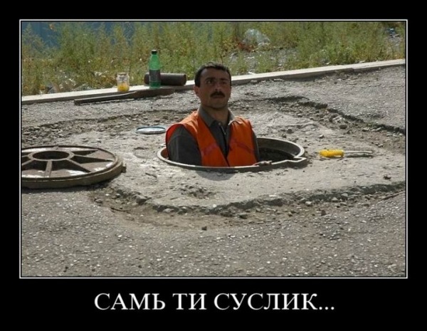 [sam_ti_suslik[2].jpg]
