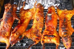 [healthy-living-cuy[4].jpg]