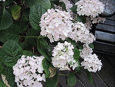 IMG_1953 IMG_1953