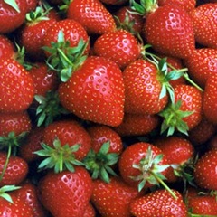 strawberries strawberries
