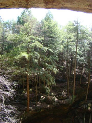 [DSC09826[7].jpg]