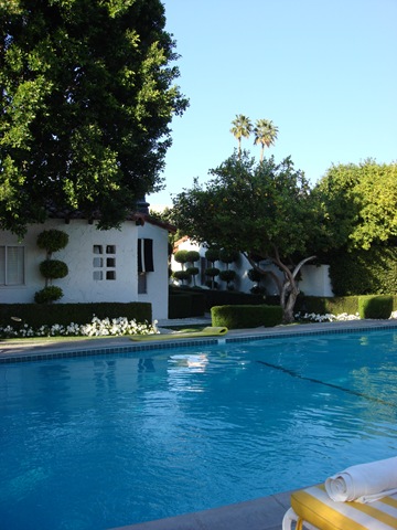 [PalmSprings31314.jpg]
