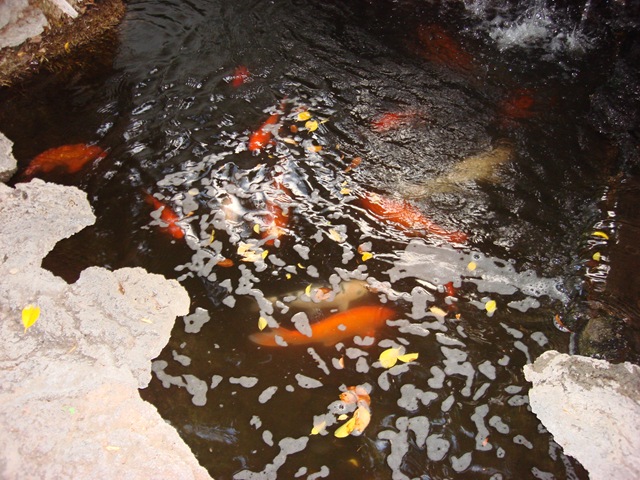 [PalmSprings31668.jpg]