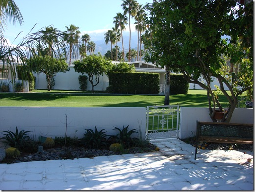 Palm Springs Modern Architecture and the Use of Screen Block