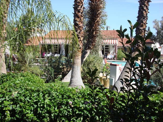 [Palm Springs 3 059[6].jpg]