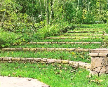 Garden Pathway 