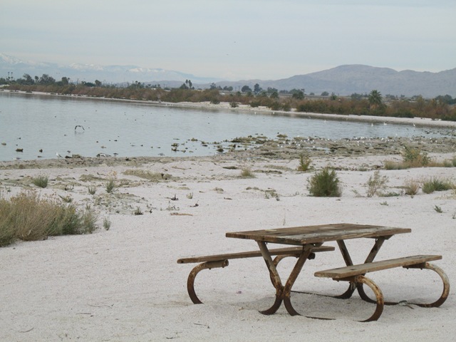 [PalmSpringsDec201004410.jpg]