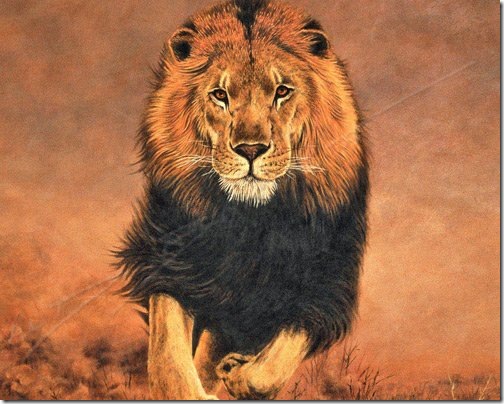 lion