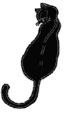 chatnoir1 chatnoir1
