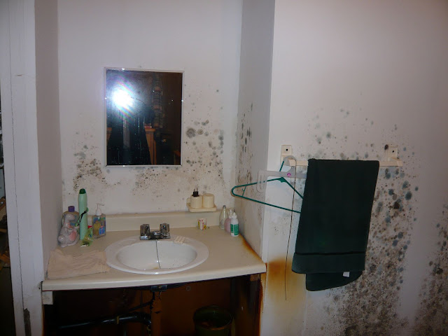 Mold and Major Inspection Issues