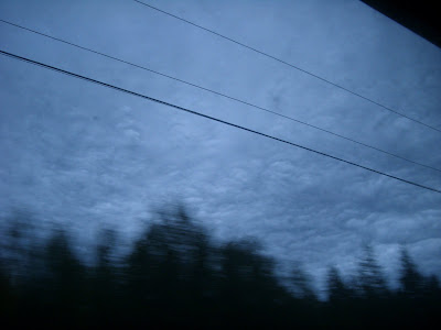 木々と鉛色の雲
