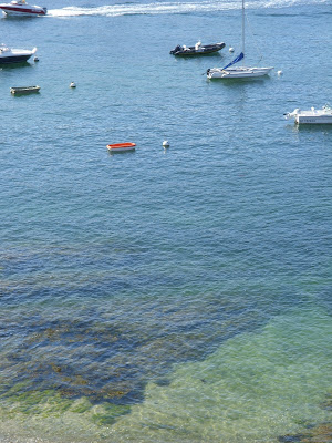 透き通った海面