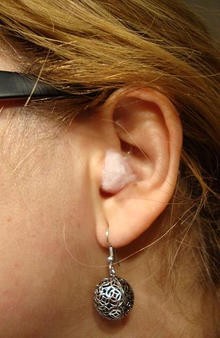 ear 028.jpg