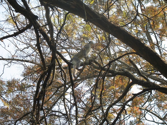 [September20080962.jpg]