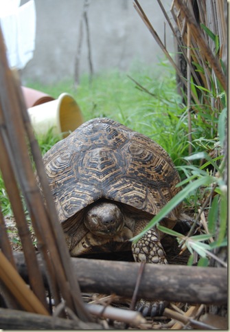 January 2010 071