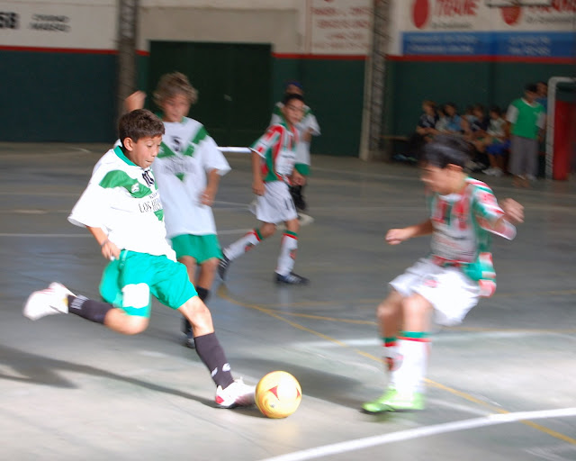 Tavo