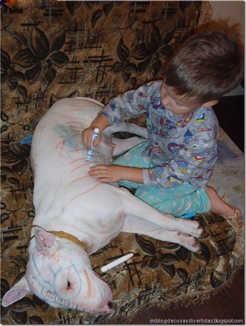 perro