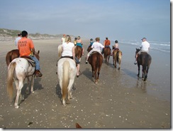 5289 Horseback Riding on the Beach South Padre Island Texas