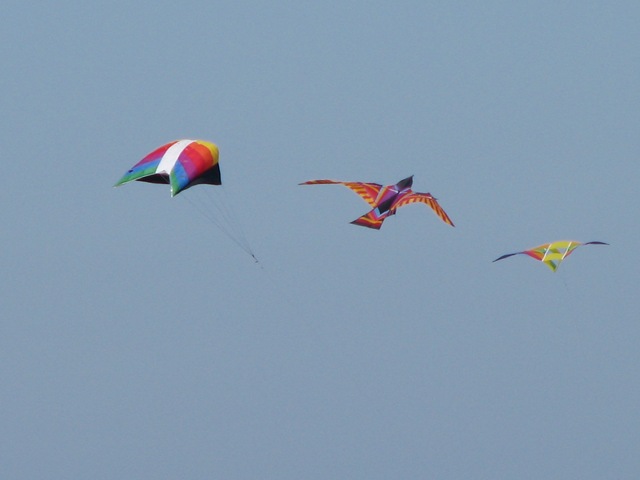 [5614 Kites South Padre Island Texas[2].jpg]