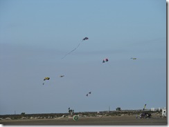 5738 Kite Flying at South Padre Island Texas