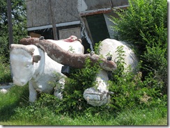 0720 Covered Wagon & Concrete Oxen west of Kearney NE