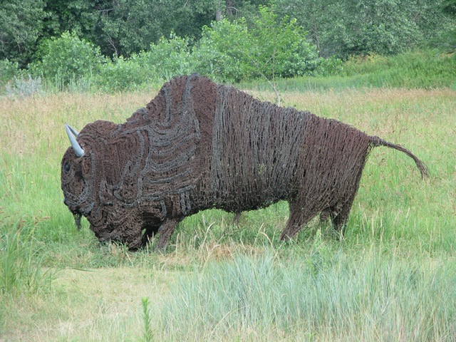 [0814 Barbed Wire Buffalo at Sod House Museum Gothenburg NE[2].jpg]