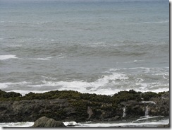 3169 Bean Hollow State Beach CA 3169 Bean Hollow State Beach CA