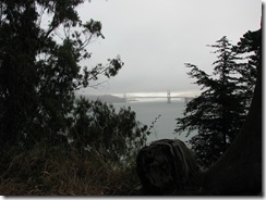 3105 The Golden Gate Bridge San Francisco CA 3105 The Golden Gate Bridge San Francisco CA