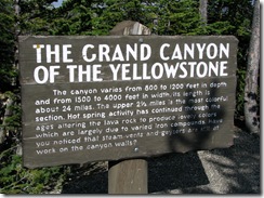 5757 Grand Canyon of Yellowstone Grand View Yellowstone National Park