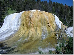 5861 Mammoth Hot Springs Orange Spring Mound Yellowstone National Park